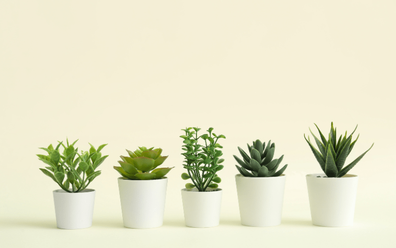 How to Choose the Best Artificial Plants for Your Home or Office - Petal & Stem
