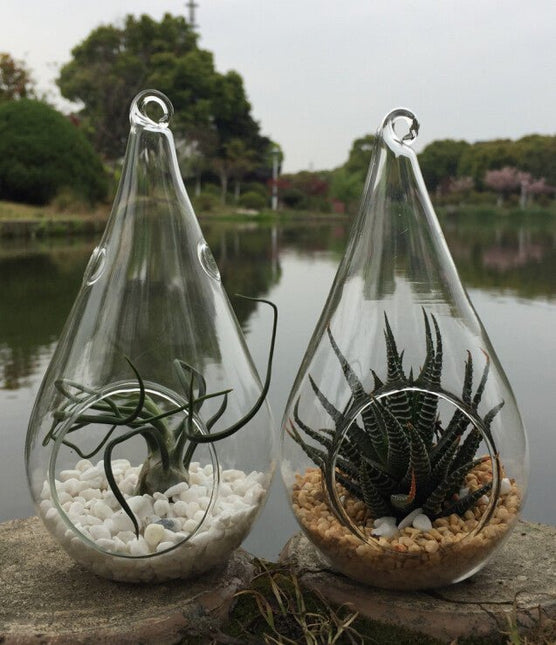10 Pack of Hanging Clear Glass Tealight Candle Holder Tear Drop Pear Shape 12cm High Terrarium Plant Mini Garden Holder Decor - Petal & Stem