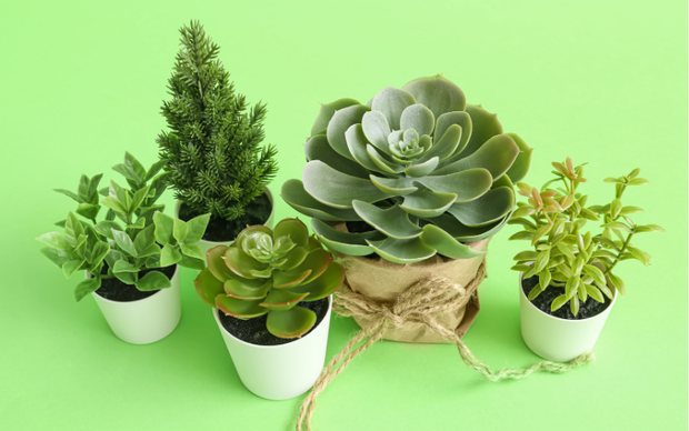 <h4>Hundreds of artificial plants to choose from.</h4>