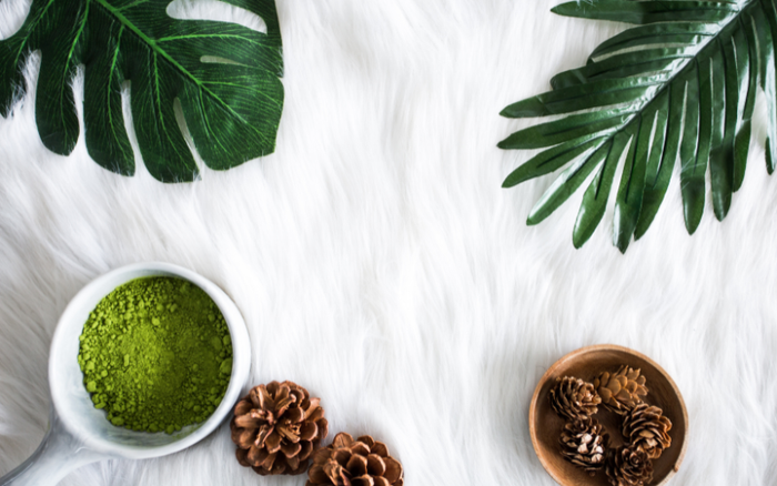 <h1>Lifestyle, Greenery, Home Decor.</h1>