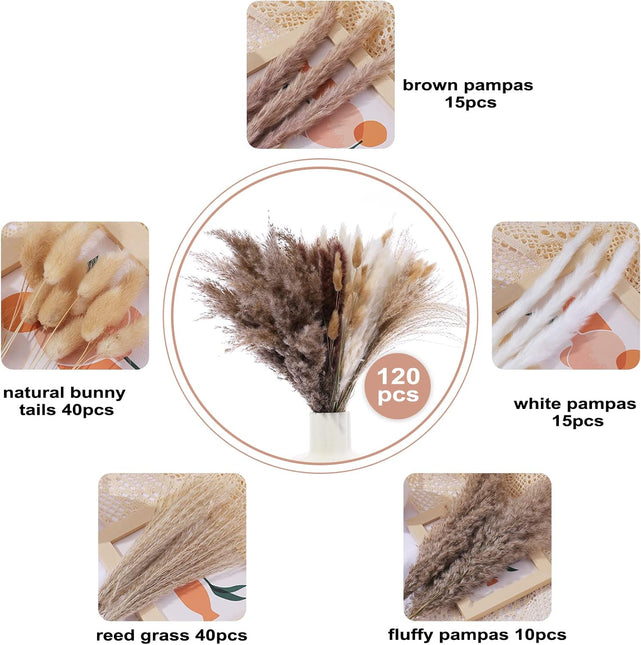 120 Pcs Dried Pampas Grass 17 Inch White Pompas Bouquet Fluffy Dry Pompous Bunny Tails Flower Small Pampass for Room Boho Home Farmhouse Decorations Wedding Pompass Flowers Arrangement Decor - Petal & Stem