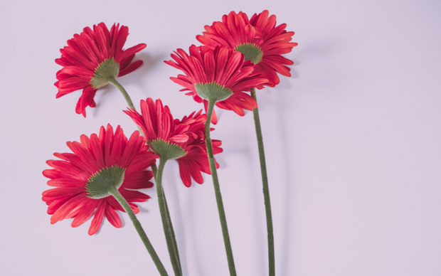 <h2><span style="text-decoration:underline">"Bring effortless beauty into your space with lifelike artificial flowers — the perfect way to add colour, fragrance and elegance without the need for watering or upkeep."</span></h2>