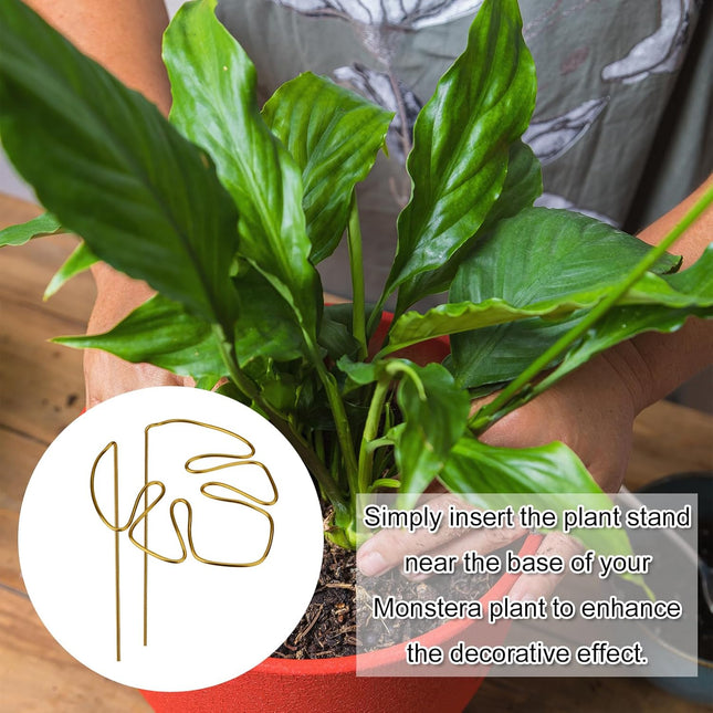2 Pack Gold Plant Supports Indoor Outdoor Plant Stakes Clips Plant Stand for Plant Support - Petal & Stem