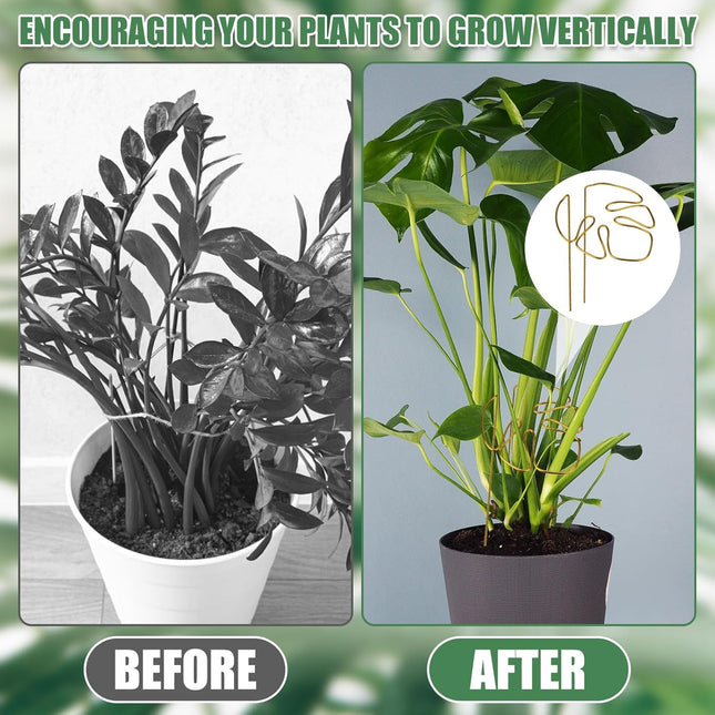 2 Pack Gold Plant Supports Indoor Outdoor Plant Stakes Clips Plant Stand for Plant Support - Petal & Stem
