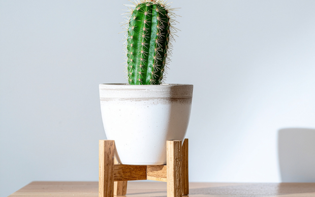 <h3>Stylish Pots & Planters </h3>