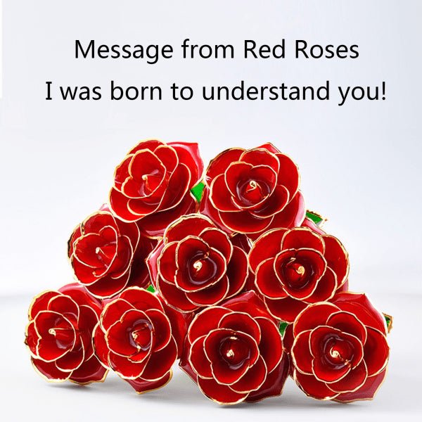 24K Gold Plated Rose, Dried Flower Kit with Gift Box and Display Stand, Rose Red - Petal & Stem