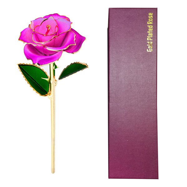 24K Gold Plated Rose, Dried Flower Kit with Gift Box and Display Stand, Rose Red - Petal & Stem