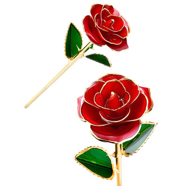 24K Gold Plated Rose, Dried Flower Kit with Gift Box and Display Stand, Rose Red - Petal & Stem