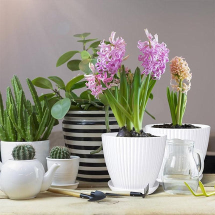 6PCS Simple Plastic Round Plant Pots Vertical Stripes Flower Pot Green Gardening Green - Petal & Stem
