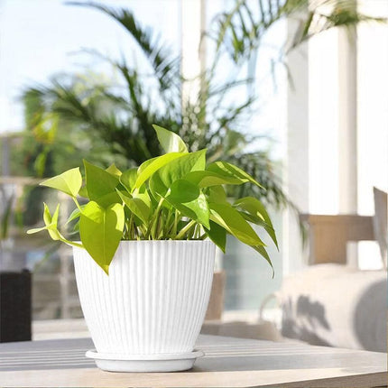 6PCS Simple Plastic Round Plant Pots Vertical Stripes Flower Pot Green Gardening Green - Petal & Stem