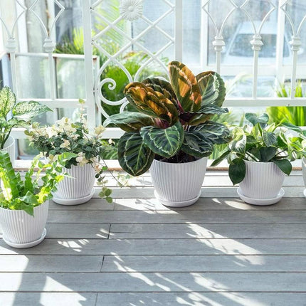 6PCS Simple Plastic Round Plant Pots Vertical Stripes Flower Pot Green Gardening Green - Petal & Stem