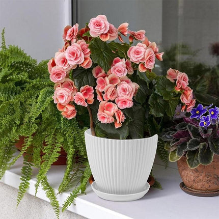 6PCS Simple Plastic Round Plant Pots Vertical Stripes Flower Pot Green Gardening Green - Petal & Stem