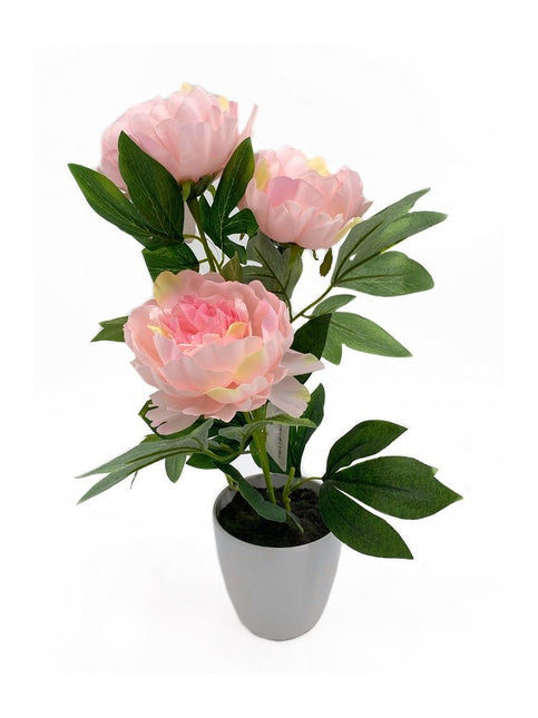 Artificial 3 Stem Peony In Plastic Pot 15x44cm - Petal & Stem