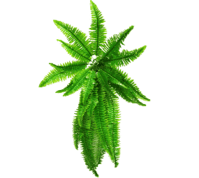 Artificial Boston Hanging Fern 102cm - Petal & Stem
