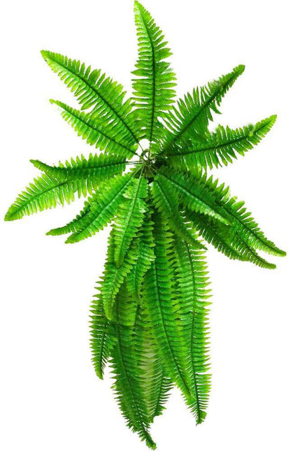 Artificial Boston Hanging Fern 102cm - Petal & Stem