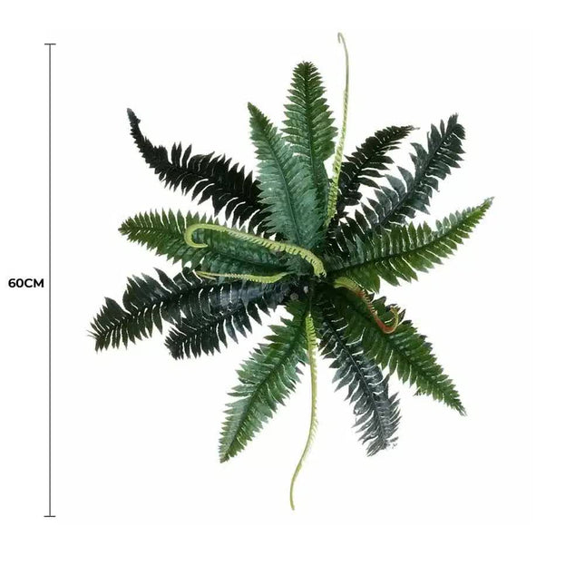 Artificial Dark Green Boston Fern 60cm - Petal & Stem
