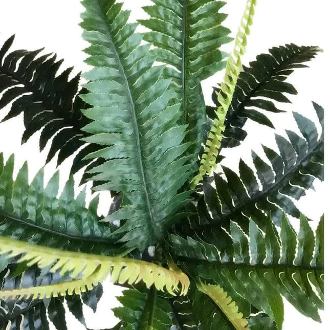 Artificial Dark Green Boston Fern 60cm - Petal & Stem