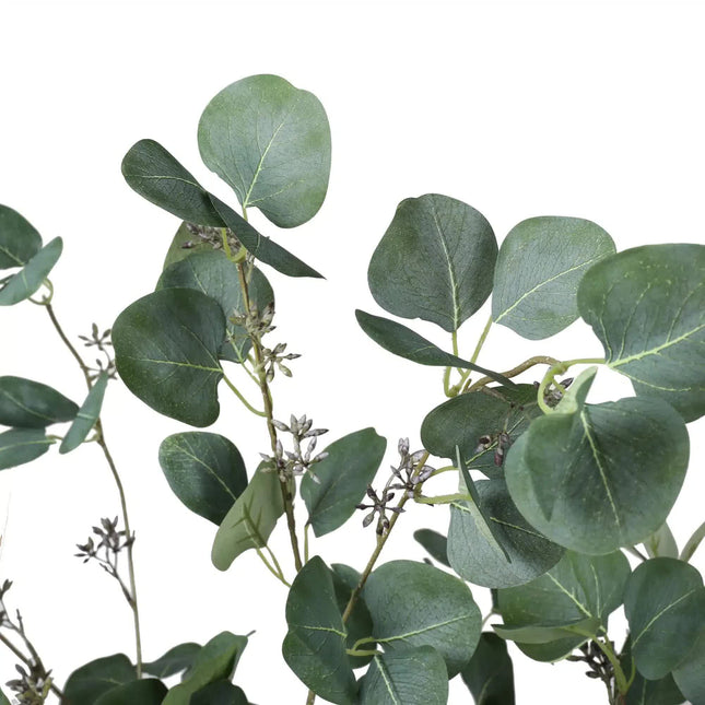 Artificial Eucalyptus Tree (Red Box Eucalyptus Polyanthemos) 150cm - Petal & Stem