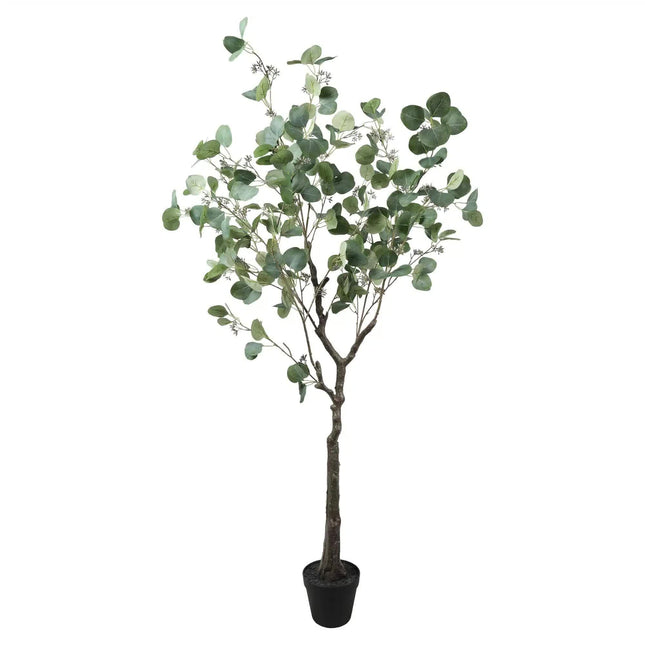 Artificial Eucalyptus Tree (Red Box Eucalyptus Polyanthemos) 150cm - Petal & Stem