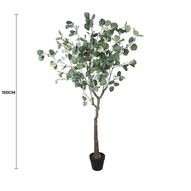 Artificial Eucalyptus Tree (Red Box Eucalyptus Polyanthemos) 150cm - Petal & Stem