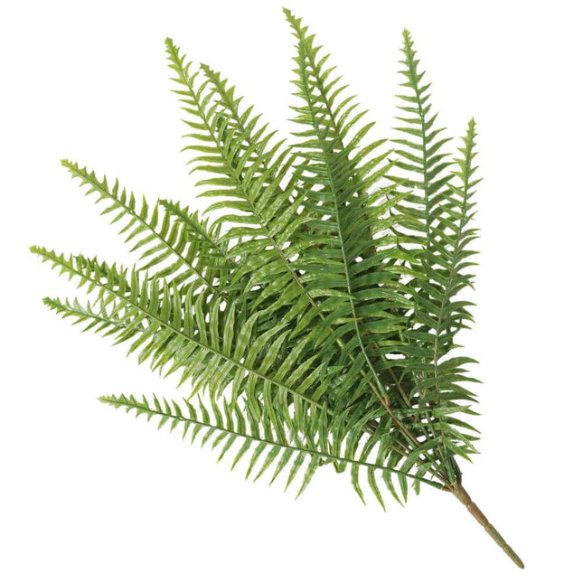 Artificial Fern (Lady Fern) 50cm UV Resistant - Petal & Stem
