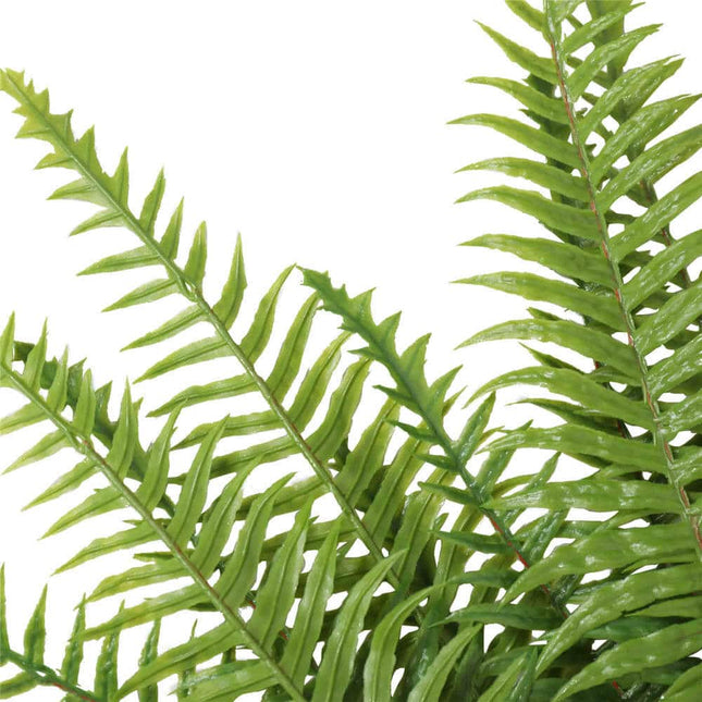 Artificial Fern (Lady Fern) 50cm UV Resistant - Petal & Stem
