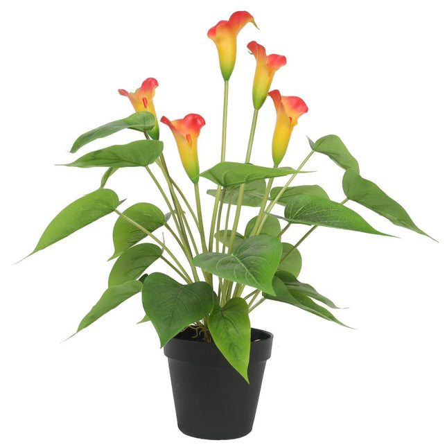 Artificial Flowering White & Orange Peace Lily / Calla Lily Plant 50cm - Petal & Stem