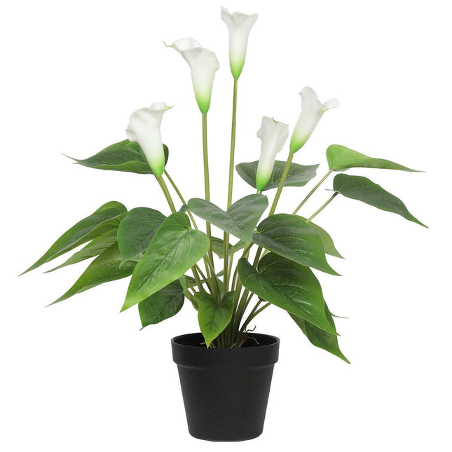 Artificial Flowering White Peace Lily / Calla Lily Plant 50cm - Petal & Stem