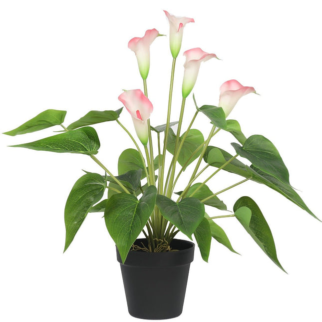 Artificial Flowering White & Pink Peace Lily / Calla Lily Plant 50cm - Petal & Stem