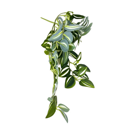 Artificial Hanging / Draping Tradescantia Zebrina 42cm - Petal & Stem