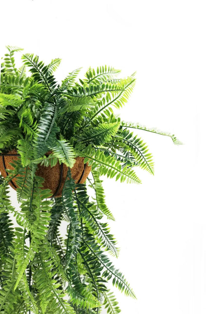 Artificial Hanging Fern Basket UV Resistant 35cm x 125cm - Petal & Stem