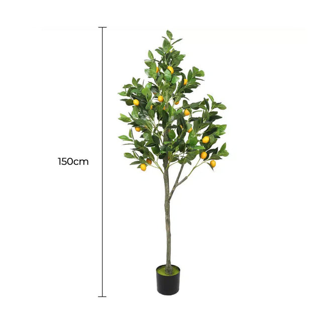 Artificial Lemon Tree (Potted) with Lemons 150cm - Petal & Stem
