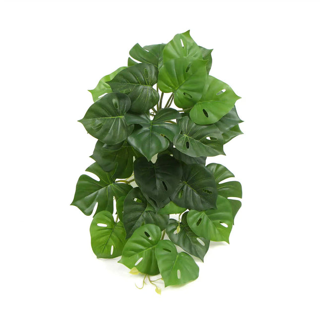 Artificial Monstera Adansonii Plant 50cm - Petal & Stem