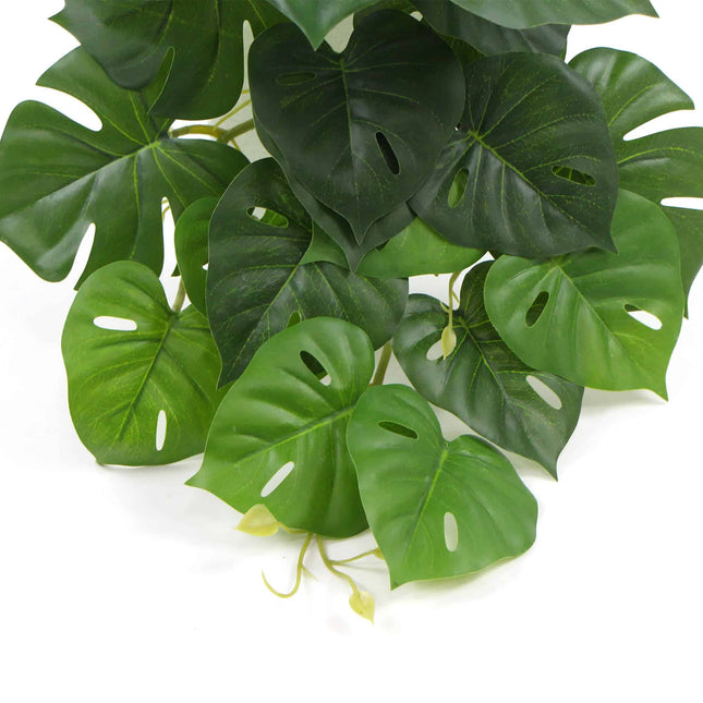 Artificial Monstera Adansonii Plant 50cm - Petal & Stem