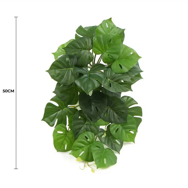 Artificial Monstera Adansonii Plant 50cm - Petal & Stem