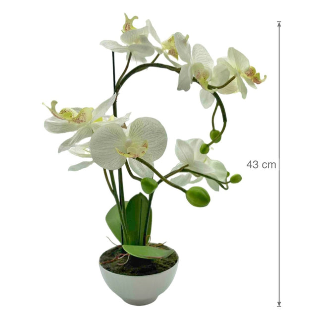 Artificial Orchid w Ceramic Base 44cm - Petal & Stem