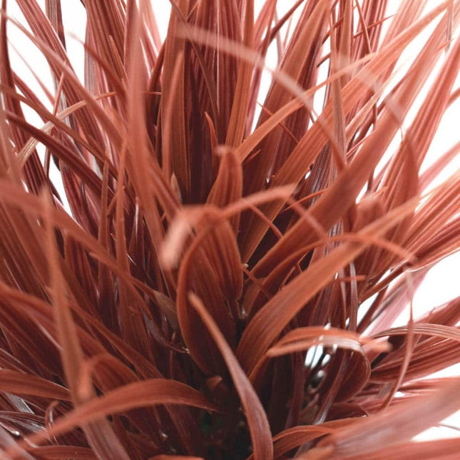 Artificial Ornamental Potted Dense Burgundy Grass UV Resistant 38cm - Petal & Stem