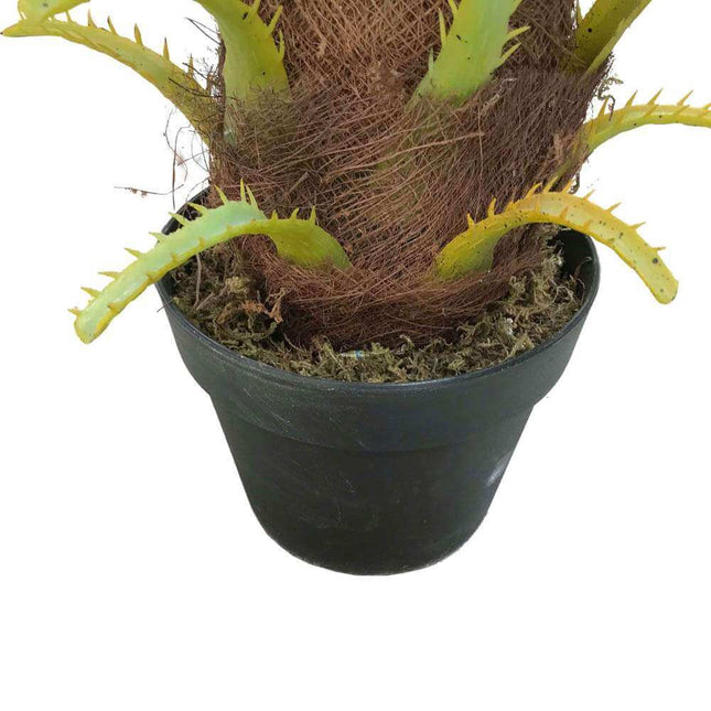 Artificial Phoenix Palm Tree 80cm - Petal & Stem