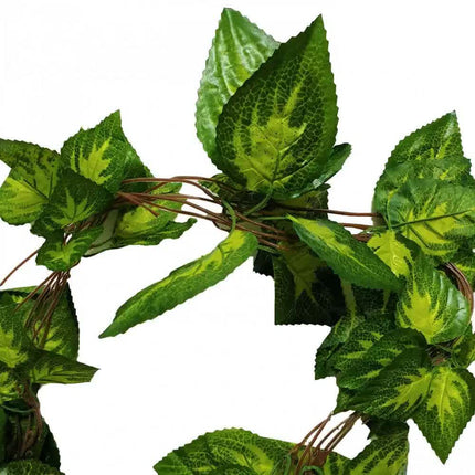 Artificial Pothos / Ivy Hanging Vines 260cm Each (5 pack) - Petal & Stem