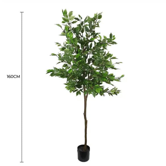 Artificial Potted Ficus Tree 160cm - Petal & Stem