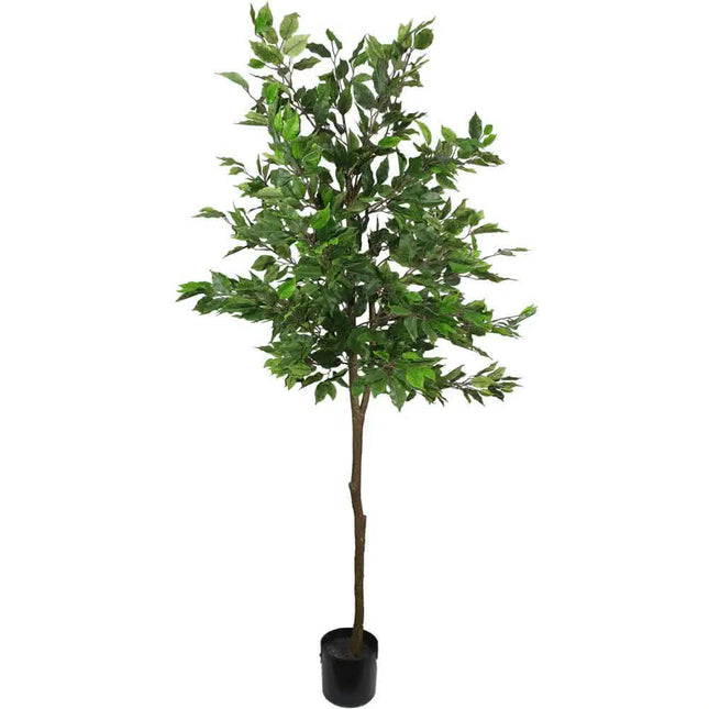 Artificial Potted Ficus Tree 160cm - Petal & Stem