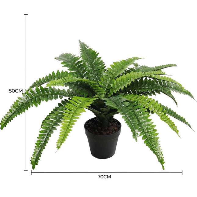 Artificial Potted Natural Green Boston Fern (50cm high 70cm wide) - Petal & Stem