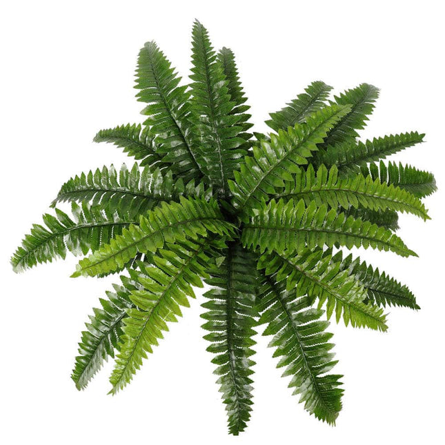 Artificial Potted Natural Green Boston Fern (50cm high 70cm wide) - Petal & Stem