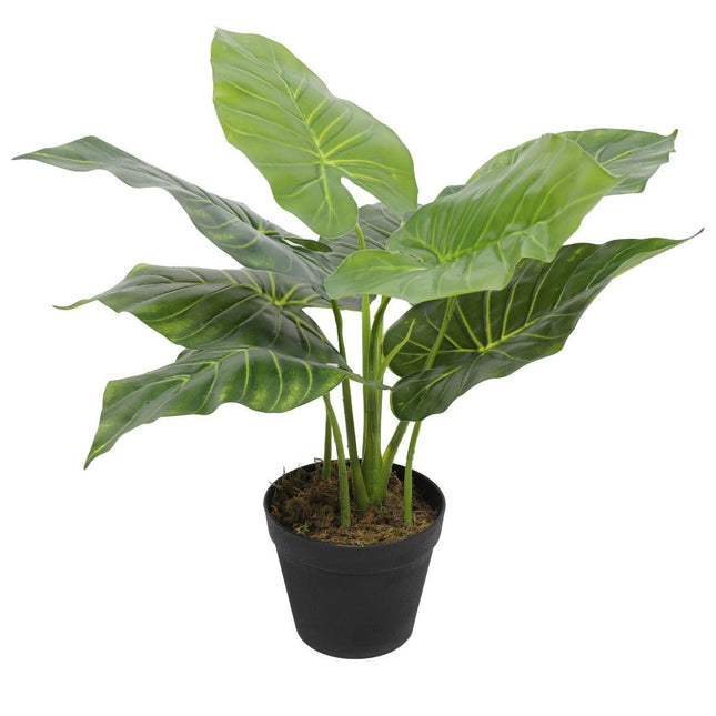 Artificial Potted Taro Plant / Elephant Ear 55cm - Petal & Stem