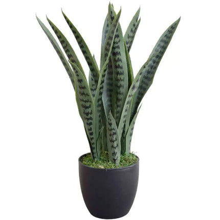 Artificial Snake Plant Sansevieria UV Resistant 60cm - Petal & Stem