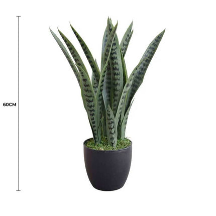 Artificial Snake Plant Sansevieria UV Resistant 60cm - Petal & Stem