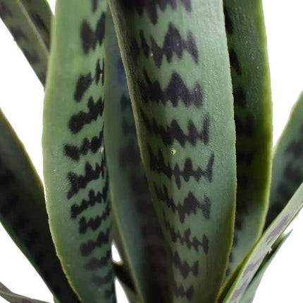 Artificial Snake Plant Sansevieria UV Resistant 60cm - Petal & Stem