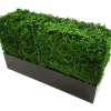 Black Metal Planter Small - Petal & Stem