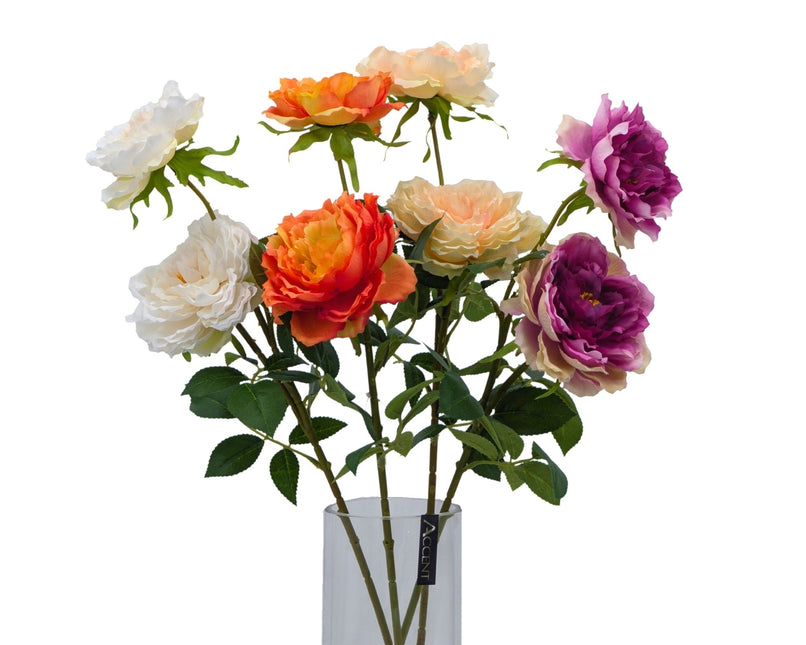 Bulk 24 Artificial Peony Stem 2 Heads 4 Assort 61cm - Petal & Stem