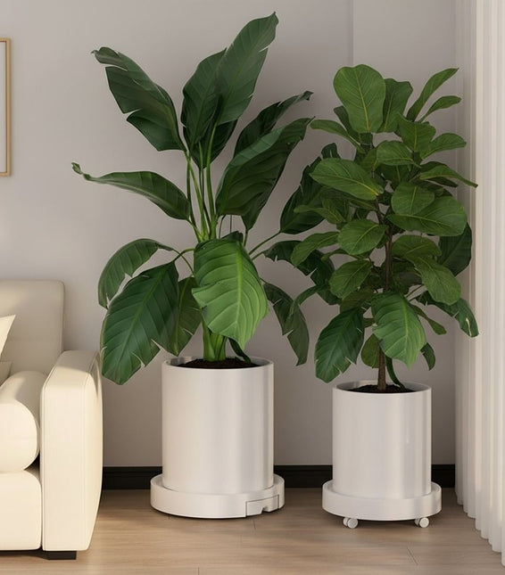 CARLA HOME 2 Pack Rolling Plant Stand with 360¬∞ Wheels for Indoor Pots (26 cm) - Petal & Stem